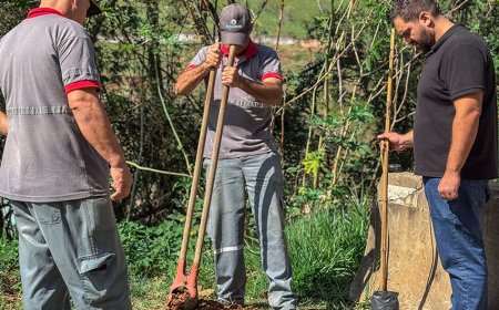 Francisco Morato cada vez mais verde e sustentável