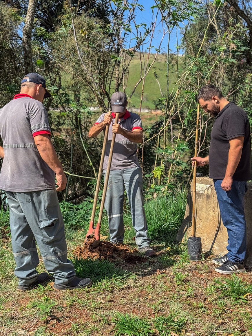 Francisco Morato cada vez mais verde e sustentável